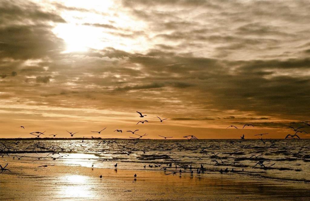 Rosenhof Norderney
